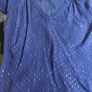 Ella Moss sparkly sheer silk top